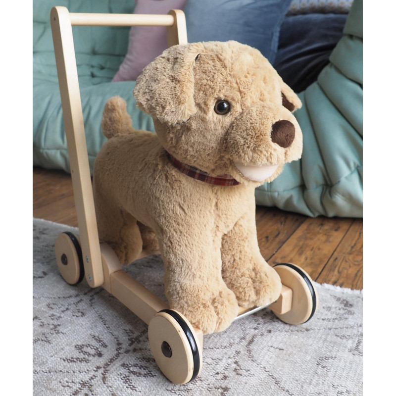 "Dexter Dog Push Along"