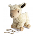 Little Bird Told Me - Lambert sheep, dragdjur
