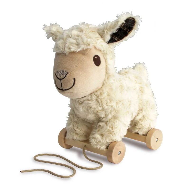 Little Bird Told Me - Lambert sheep, dragdjur