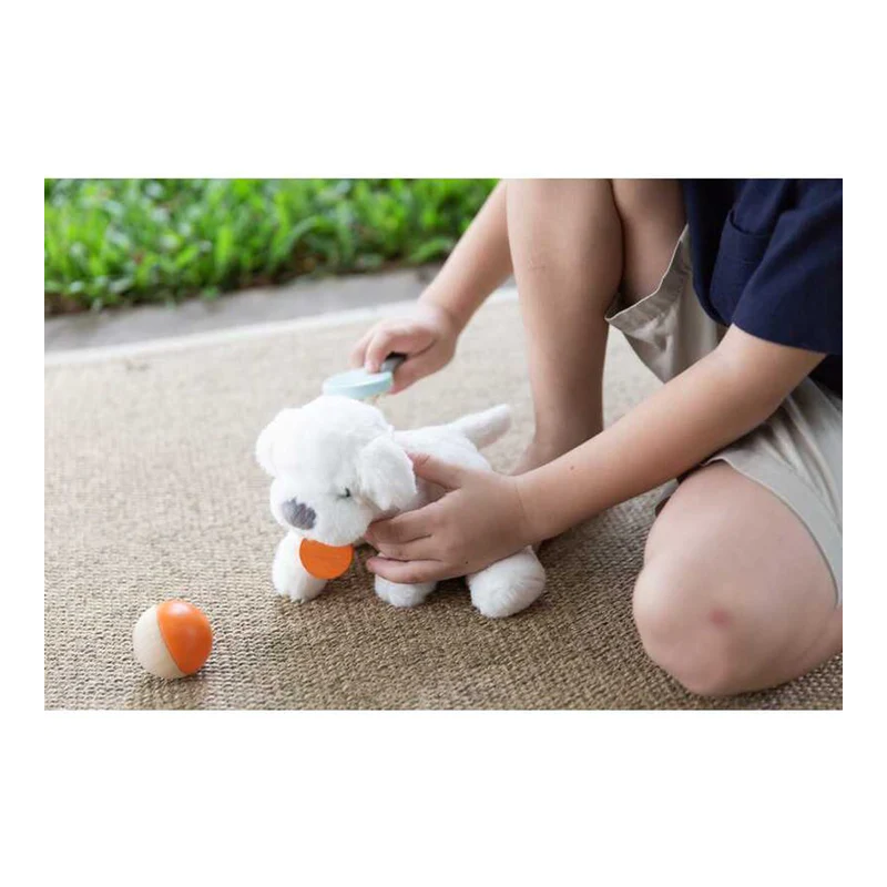PlanToys - Pet Care Set