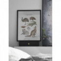 Fashionell - Poster, In the Outback 50x70cm