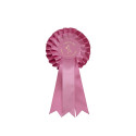Cheval Roi - Rosetter käpphäst, mint/pink