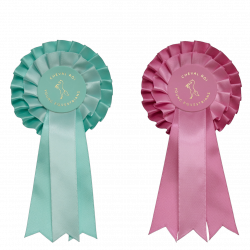 Cheval Roi - Rosetter käpphäst, mint/pink