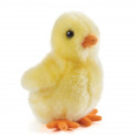 Living nature - Fluffy Chicks, gul