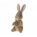 Maileg - My first bunny - Brown