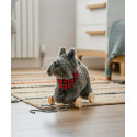 Little Bird Told Me - Scottie Hund, dragdjur