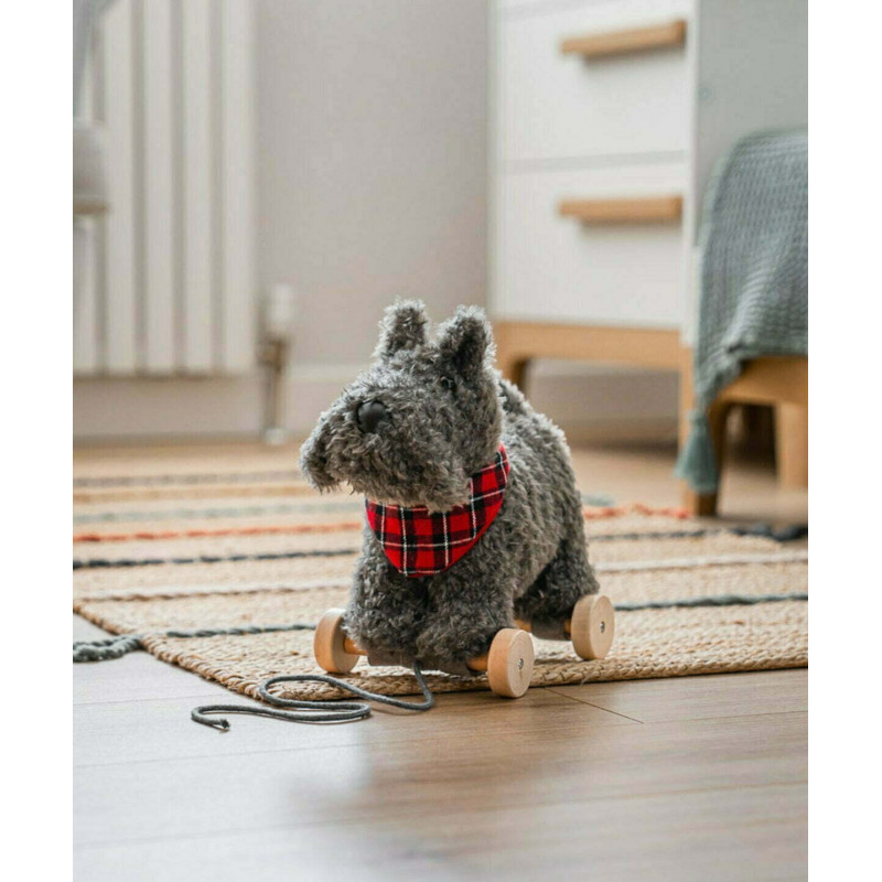 Little Bird Told Me - Scottie Hund, dragdjur