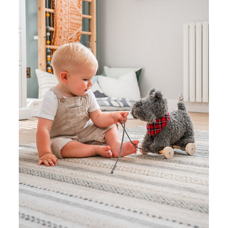 Little Bird Told Me - Scottie Hund, dragdjur