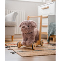 Little Bird Told Me - Bailey Hund gåvagn