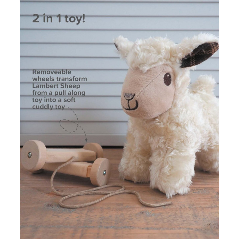 Little Bird Told Me - Lambert sheep, dragdjur