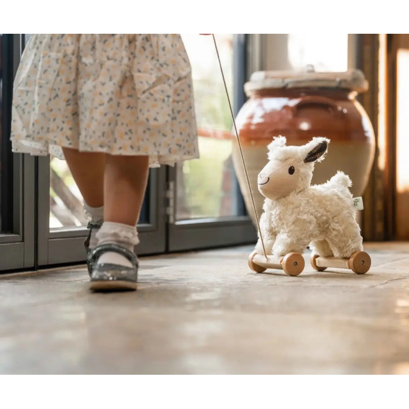 Little Bird Told Me - Lambert sheep, dragdjur