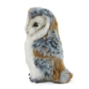 Living nature - Barn Owl Medium