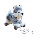 "Little Bird Told Me - Mishka Hund, dragdjur"