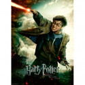 Ravensburger - Pussel Harry Potter, 100 bitar