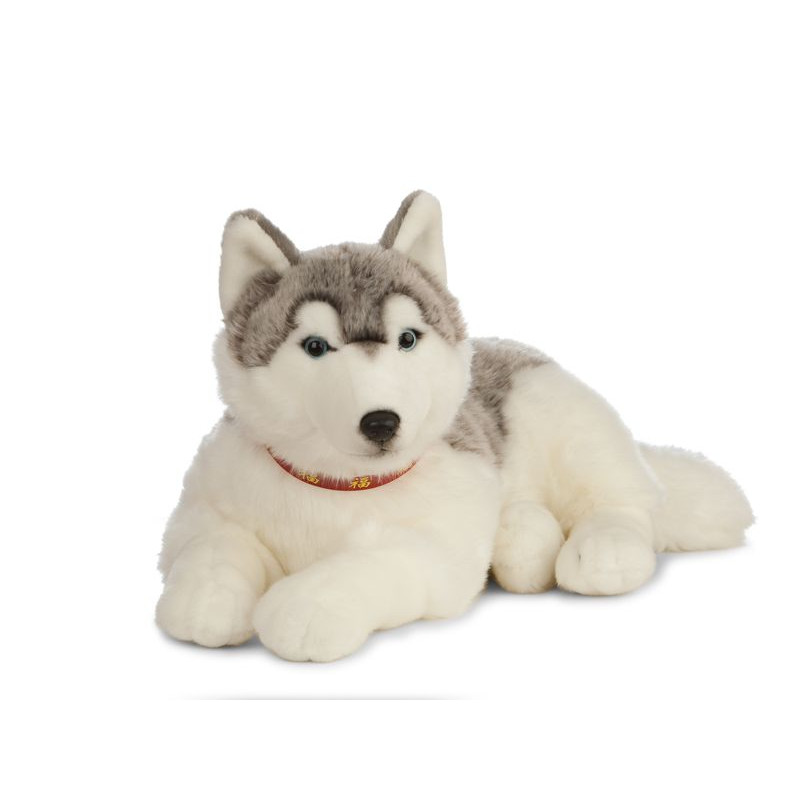 Living nature - Giant husky