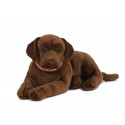 Living nature - Giant chocolate Lab
